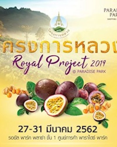 โครงการหลวง 2019 Zipevent