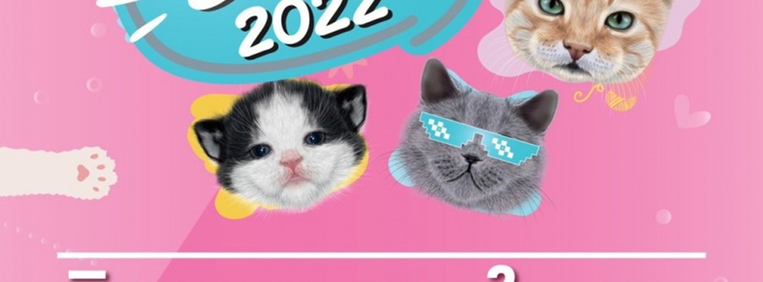 Cat Story 2022 @Central Ayutthaya Zipevent