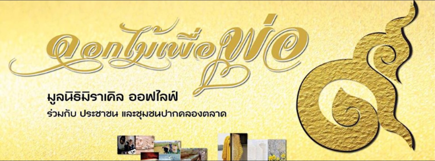 ดอกไม้เพื่อพ่อ Zipevent