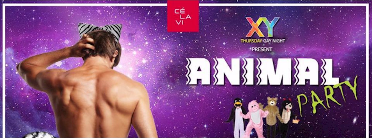 XY presents "Animal Party" Thursday July 6 at CLV Bkk Zipevent