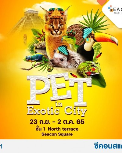 Pet in Exotic City Zipevent