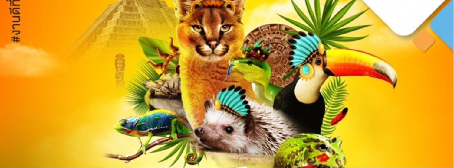 Pet in Exotic City Zipevent