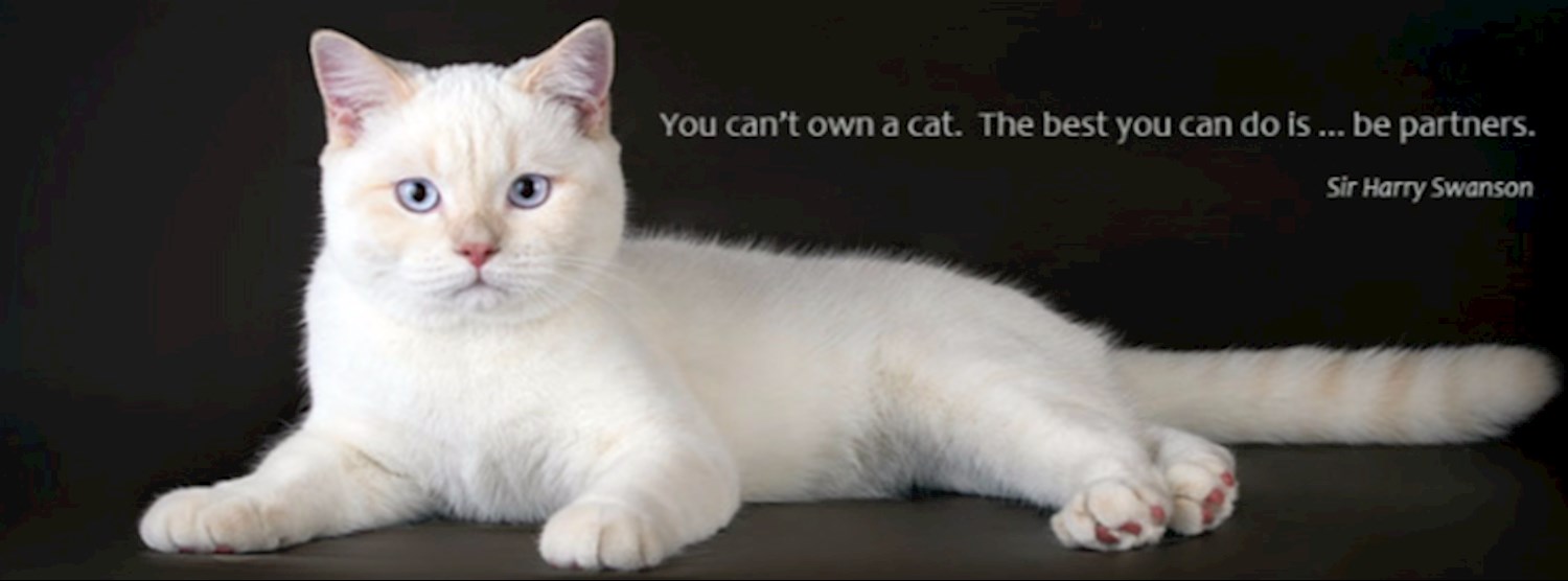 1st WCF Thailand National Show Zipevent