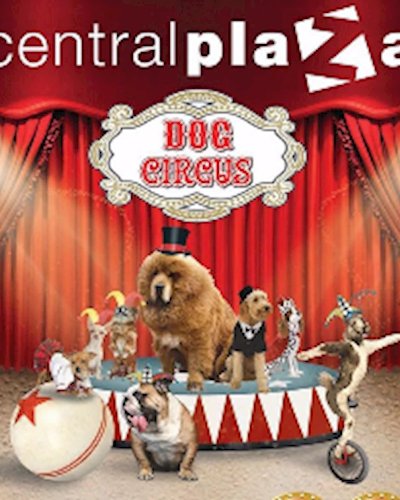 Dog Circus Zipevent