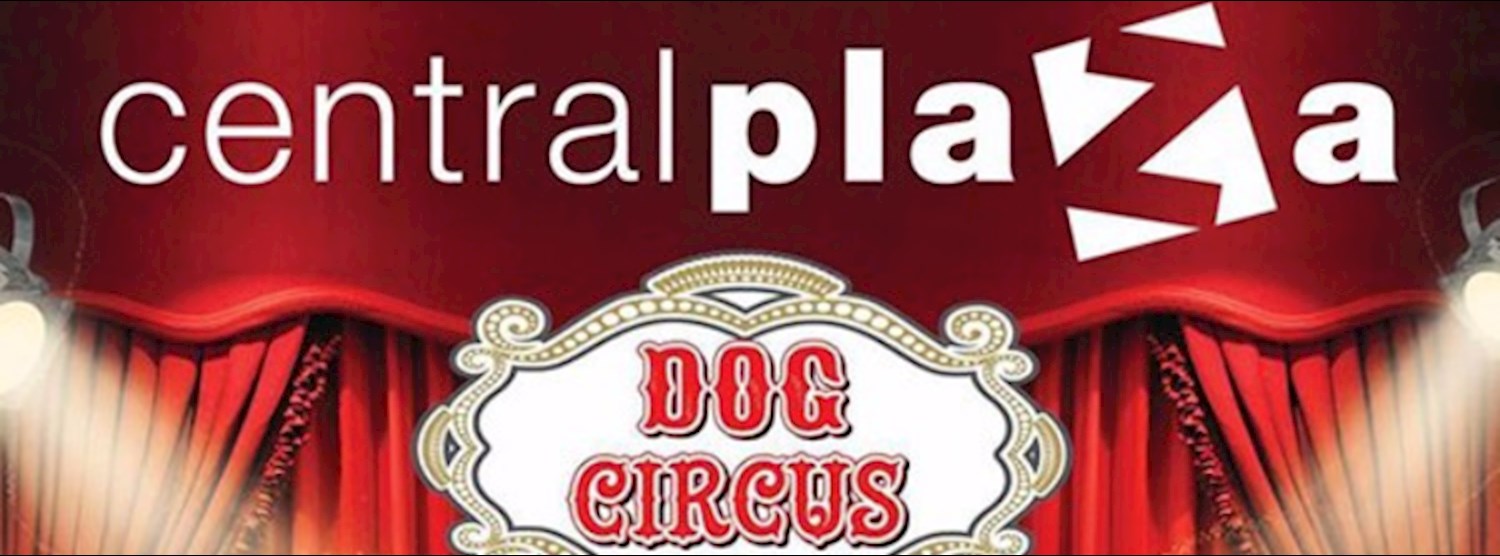 Dog Circus Zipevent