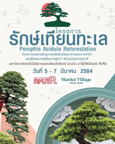 รักษ์เทียนทะเล Zipevent