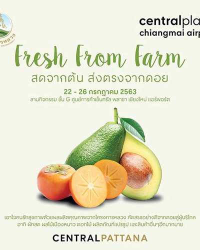 Fresh From Farm สดจากต้น...ส่งตรงจากดอย Zipevent