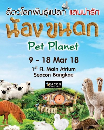 Pet Planet ตอนน้องขนดก Zipevent