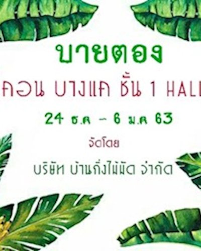 บายตอง Zipevent