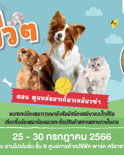 หมาๆ แมวๆ 2023 Zipevent