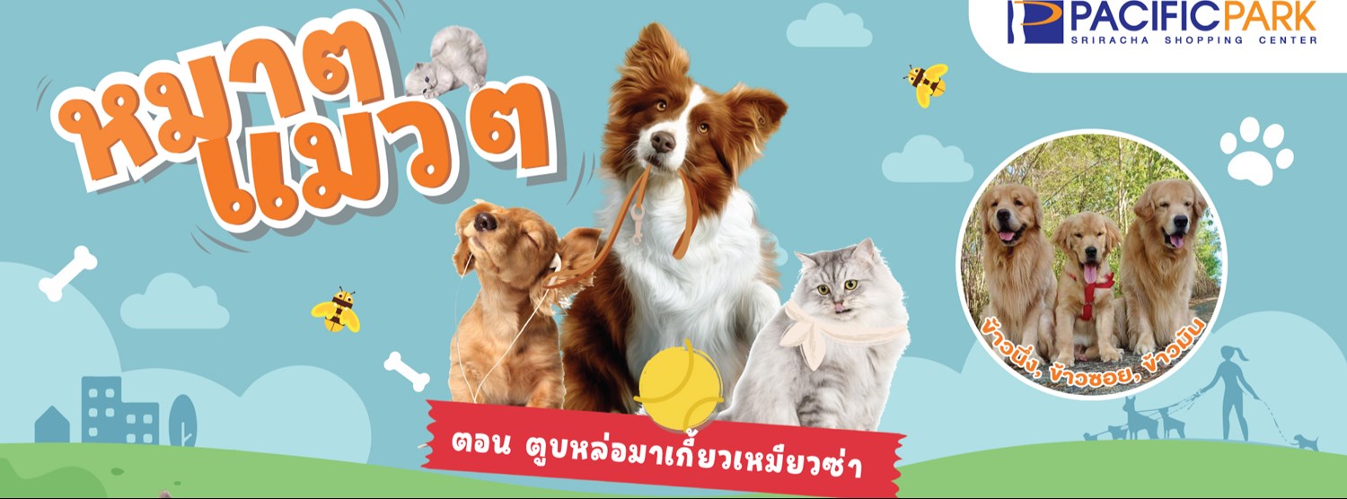 หมาๆ แมวๆ 2023 Zipevent