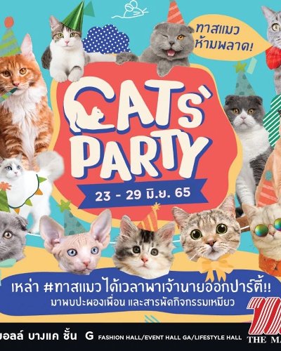 CATS’ PARTY @บางแค Zipevent
