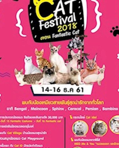 Cat Festival 2018 Zipevent