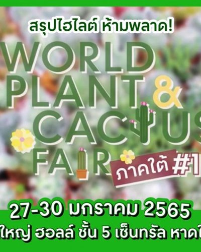 WORLD PLANT & CACTUS FAIR ภาคใต้ ครั้งที่ 1 Zipevent