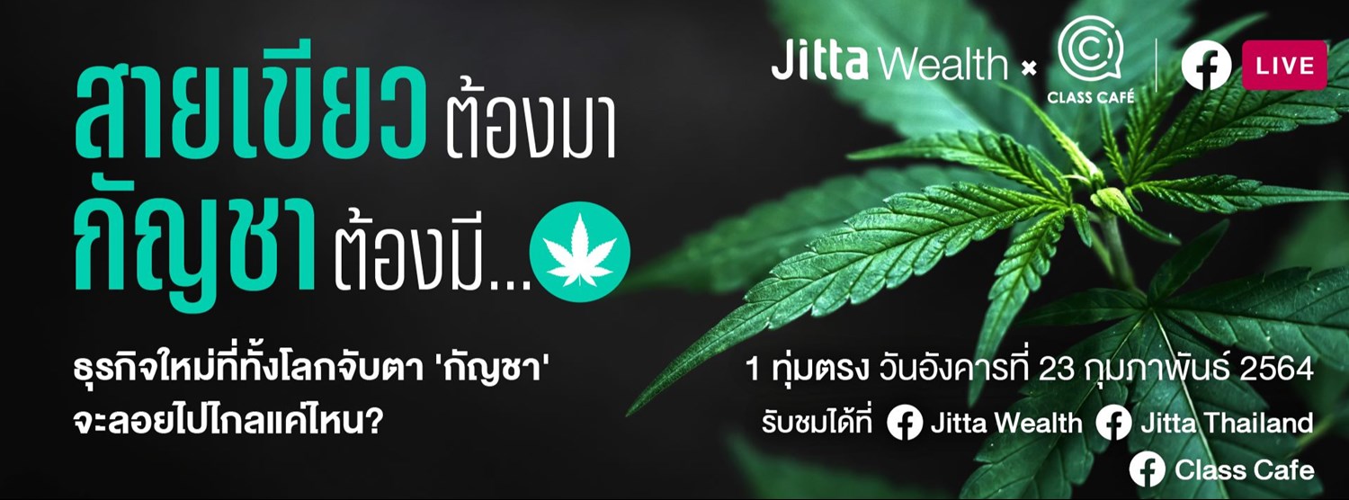 สายเขียวต้องมา กัญชาต้องมี Zipevent