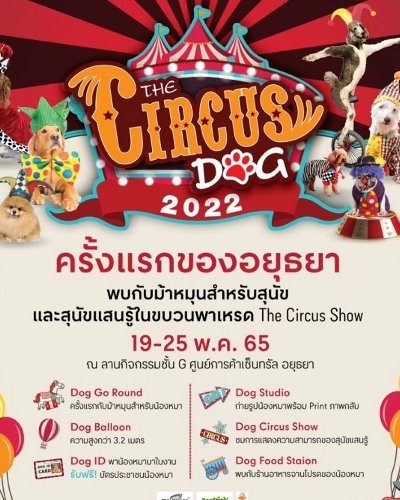 The Circus Dog 2022 Zipevent