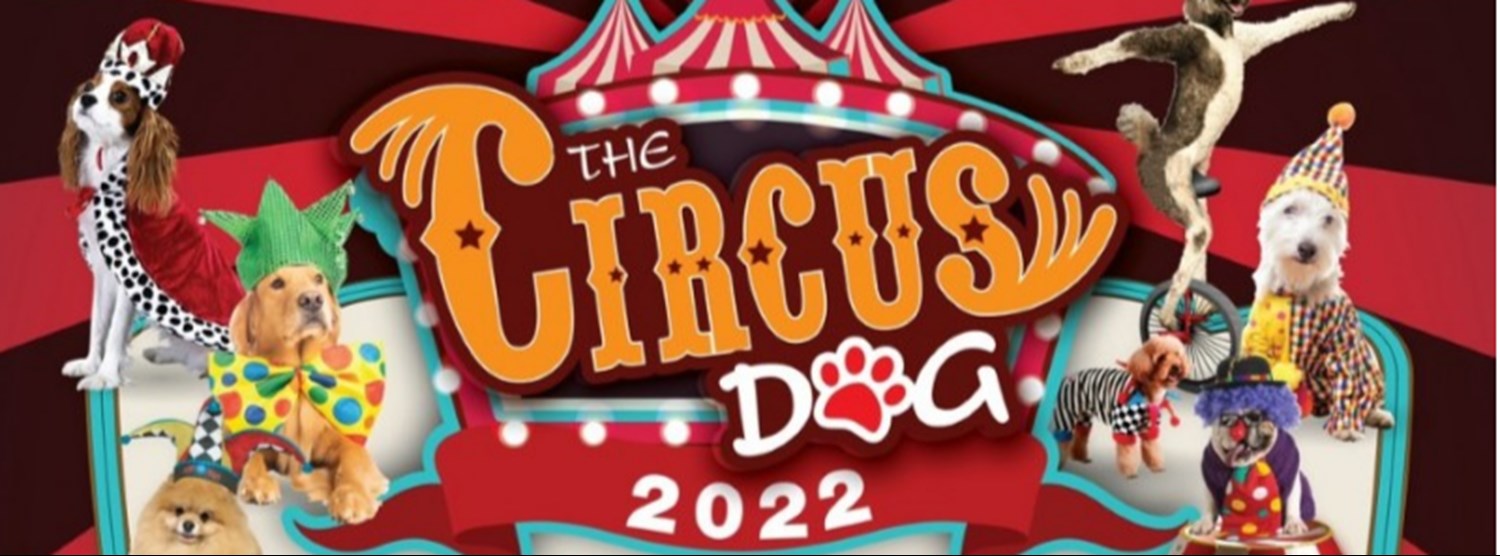 The Circus Dog 2022 Zipevent