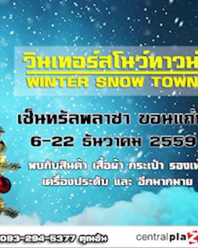 WINTER SNOW TOWN Zipevent