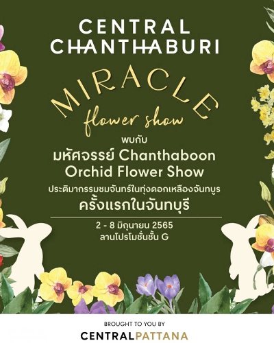 Chanthaboon Orchid Flower Show Zipevent