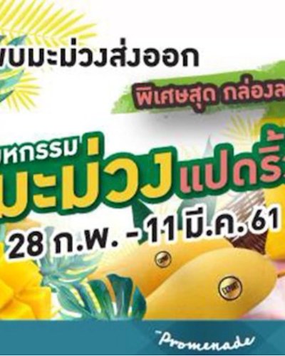 มหกรรมมะม่วงแปดริ้ว Zipevent