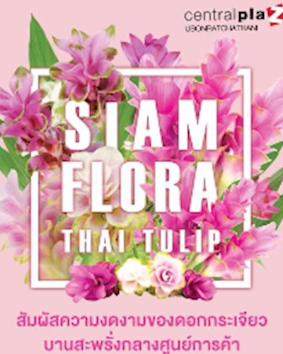 SIAM FLORA THAI TULIP Zipevent