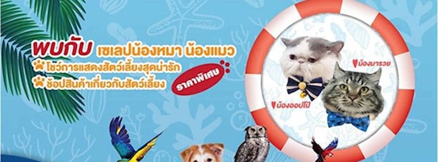 LOVE DOG LOVE MY CAT Zipevent