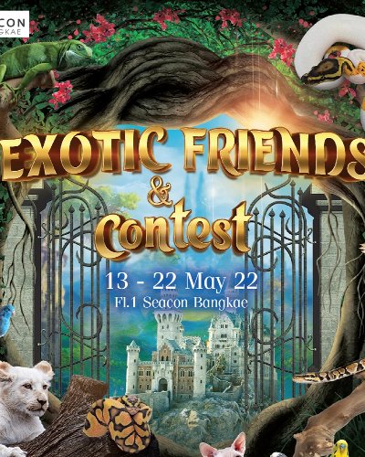 EXOTIC FRIENDS & contest Zipevent