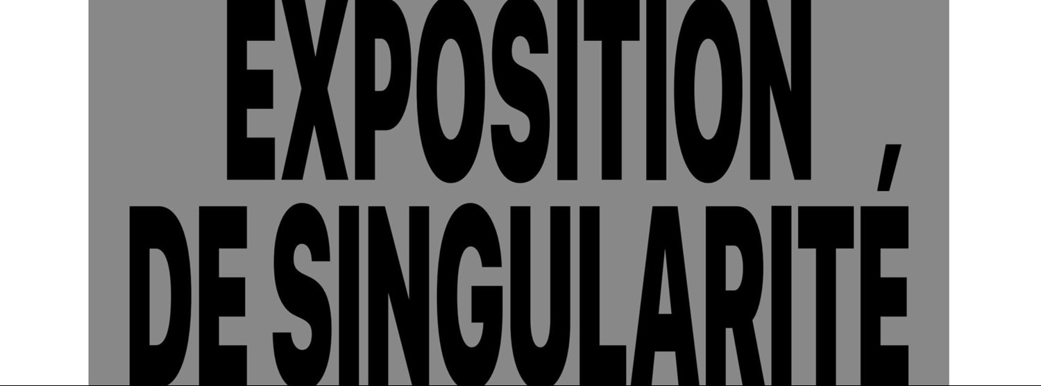  Exposition de Singularité Zipevent