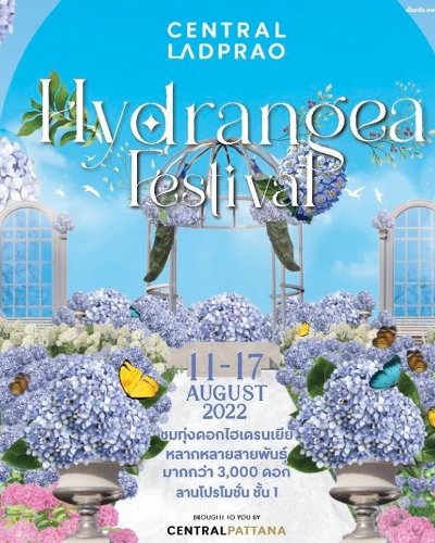 HYDRANGEA FESTIVAL 2022 Zipevent