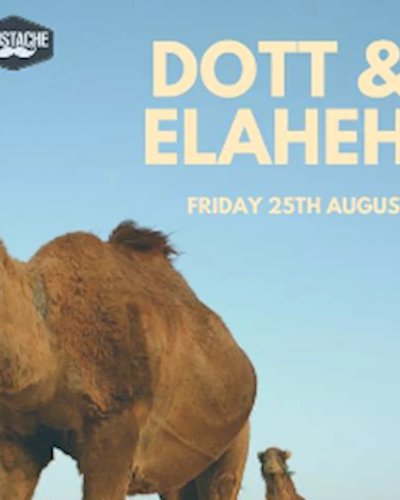 Expedition w/ DOTT & Elaheh at Mustache Zipevent
