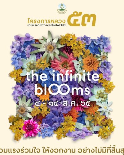 โครงการหลวง ครั้งที่ 53 : the infinite blOOms Zipevent