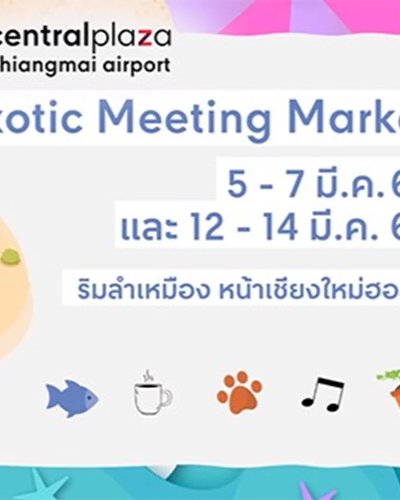 Exotic Meeting Market Ep.2 Zipevent