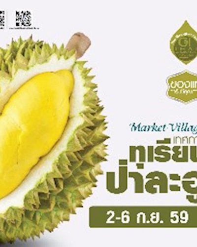 เทศกาลทุเรียนป่าละอู Zipevent