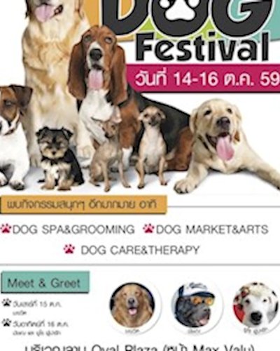 CDC DOG FESTIVAL Zipevent