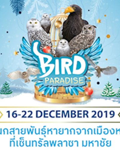 Bird Paradise Zipevent