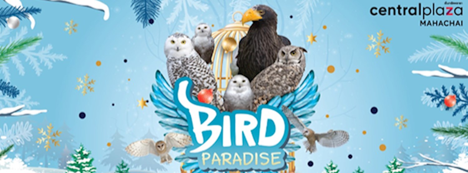 Bird Paradise Zipevent