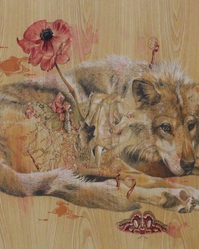 Wild Spirit by Wattanapon Kitburin Zipevent