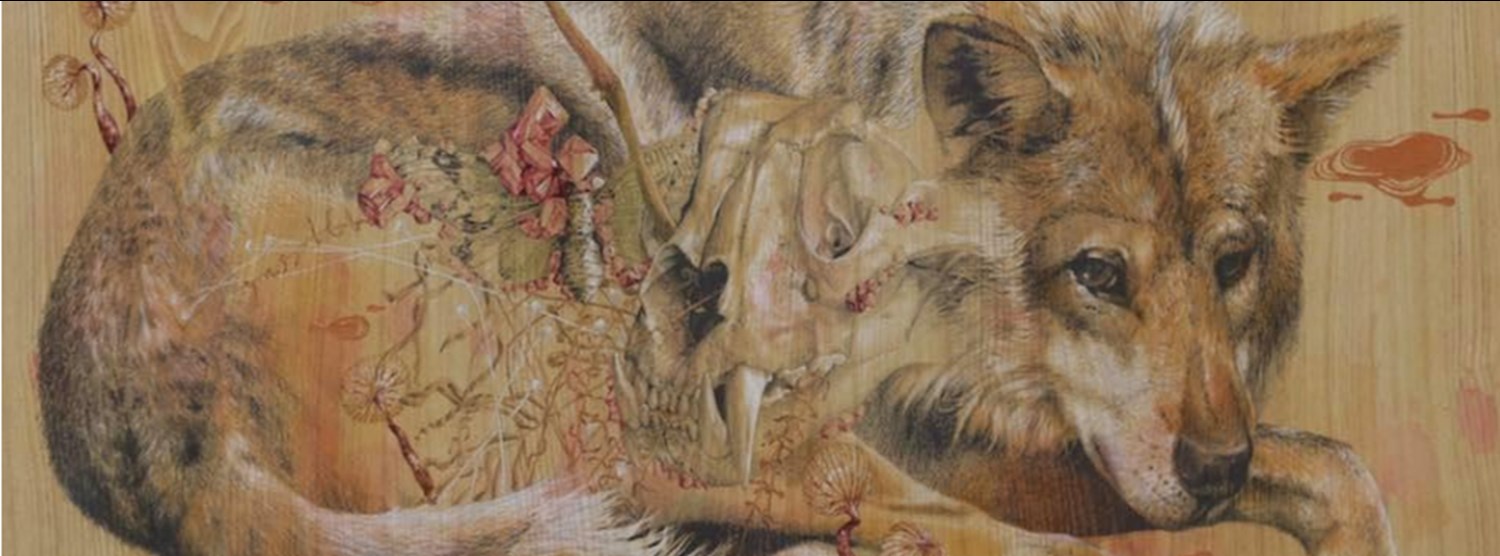 Wild Spirit by Wattanapon Kitburin Zipevent