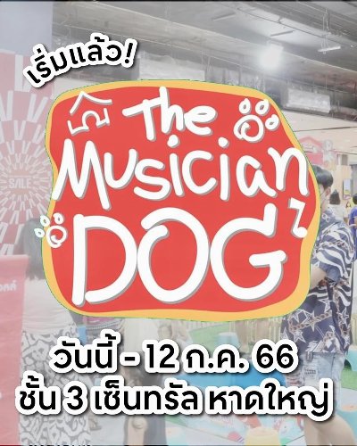 THE MUSICIAN DOG Zipevent