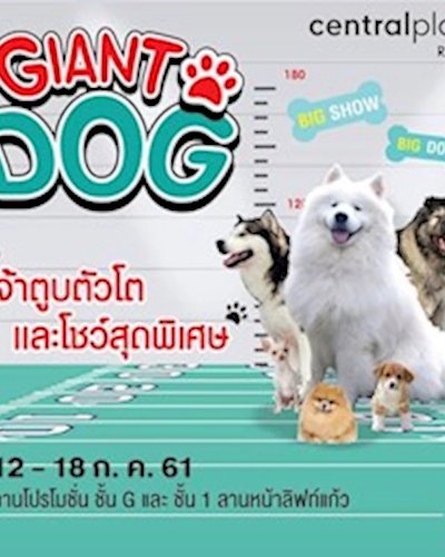 Giant Dog Show @CentralPlaza Rama3 Zipevent