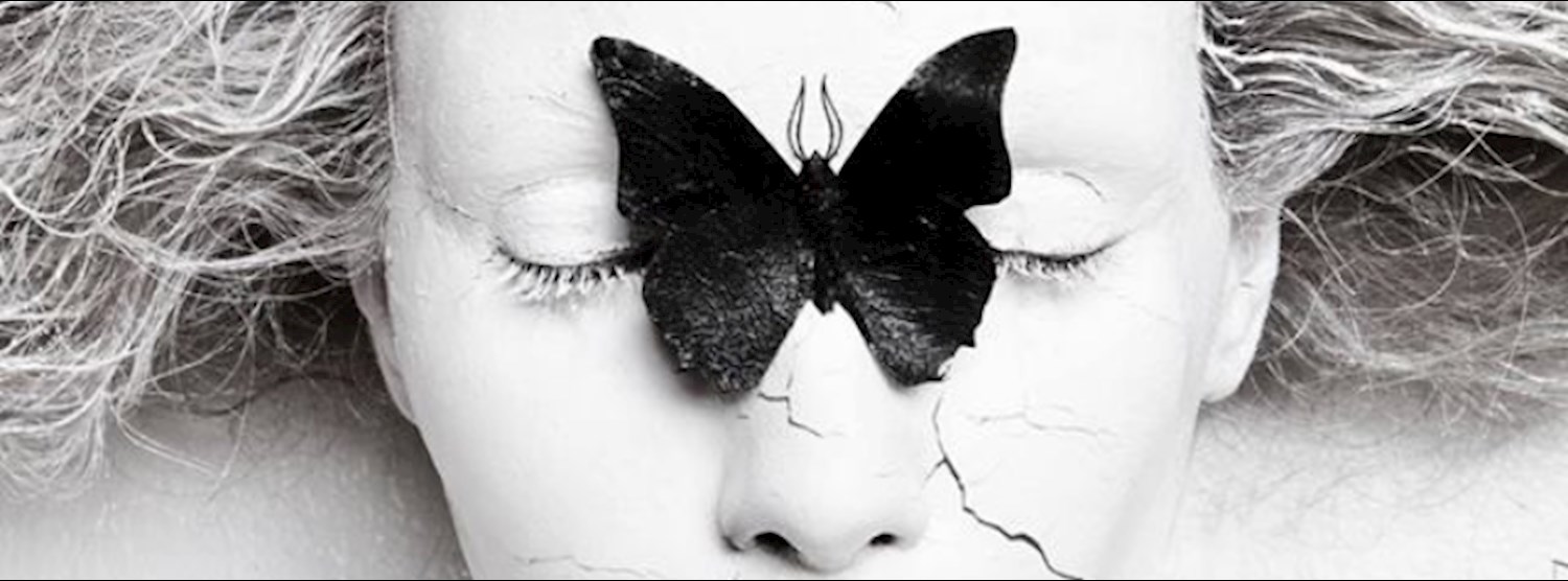 Metamorphosis by Olga Volodina Zipevent