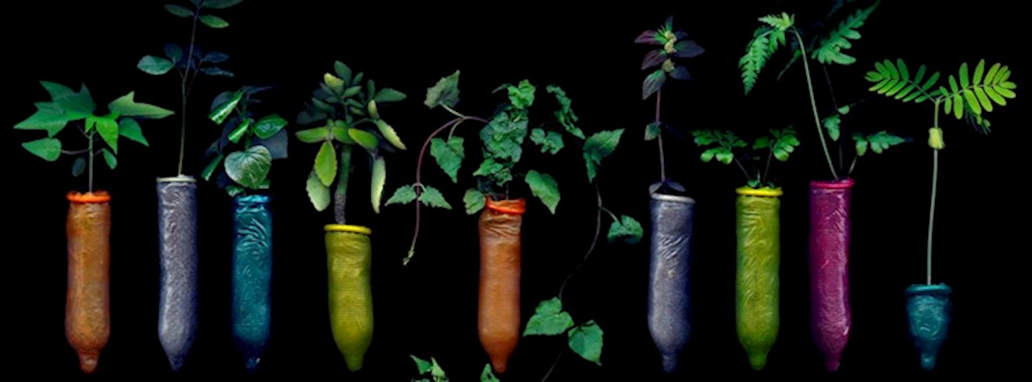 Angki Purbandono / / Grey area Zipevent