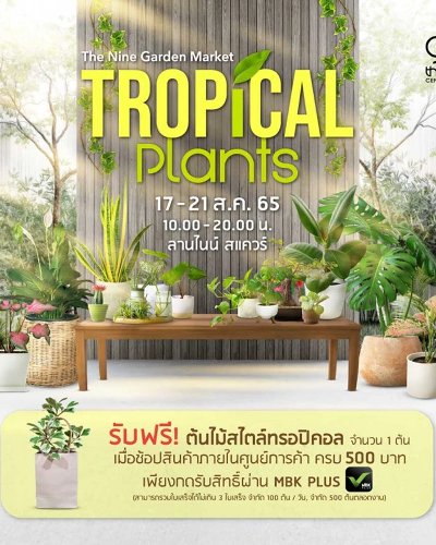 The Nine Garden Market Tropical Plants Zipevent
