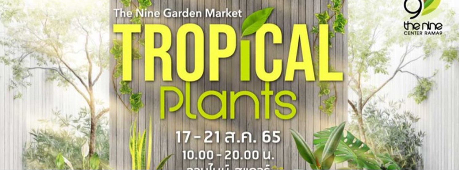 The Nine Garden Market Tropical Plants Zipevent