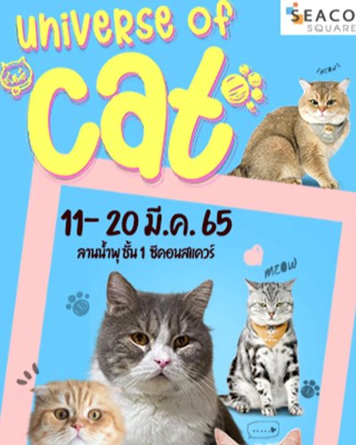 Universe  of CAT Zipevent