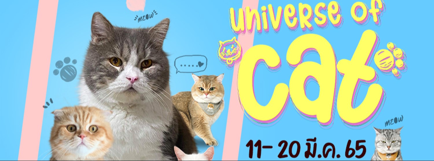 Universe  of CAT Zipevent