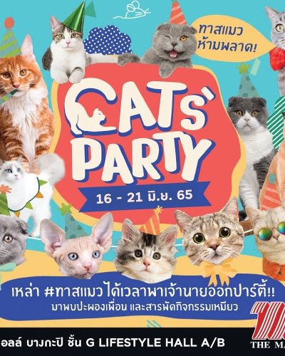 CATS’ PARTY @บางกะปิ Zipevent