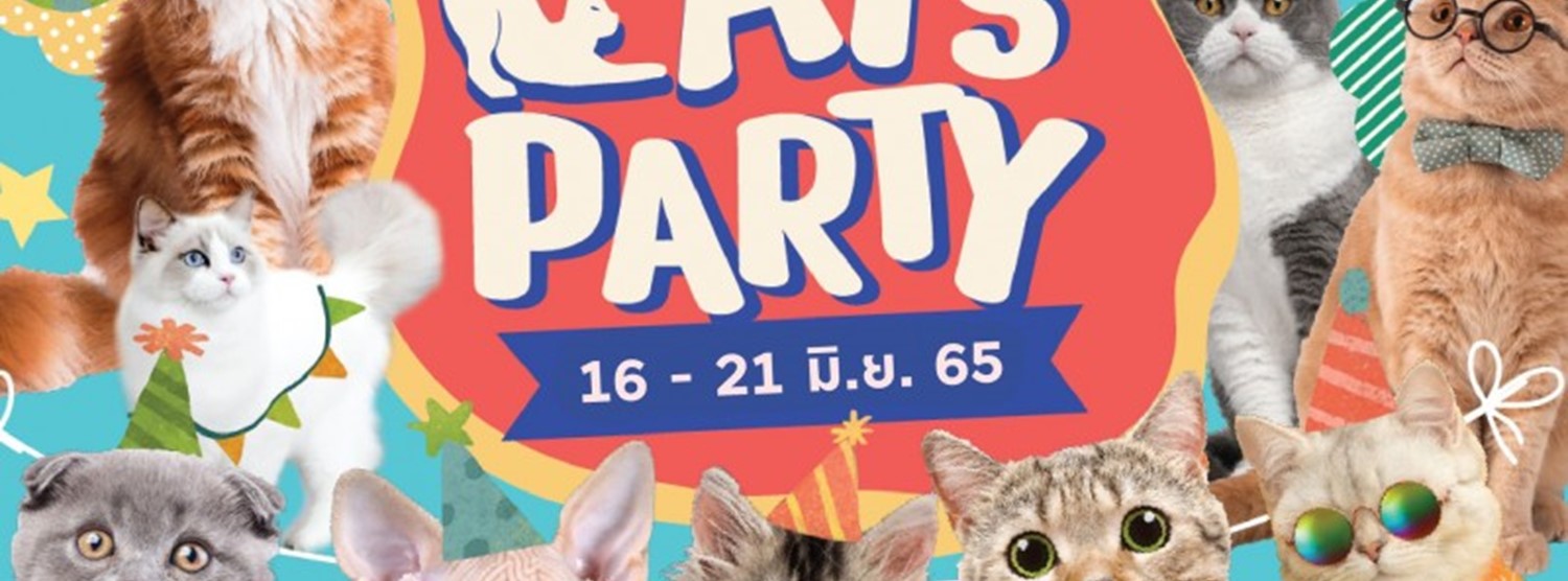 CATS’ PARTY @บางกะปิ Zipevent
