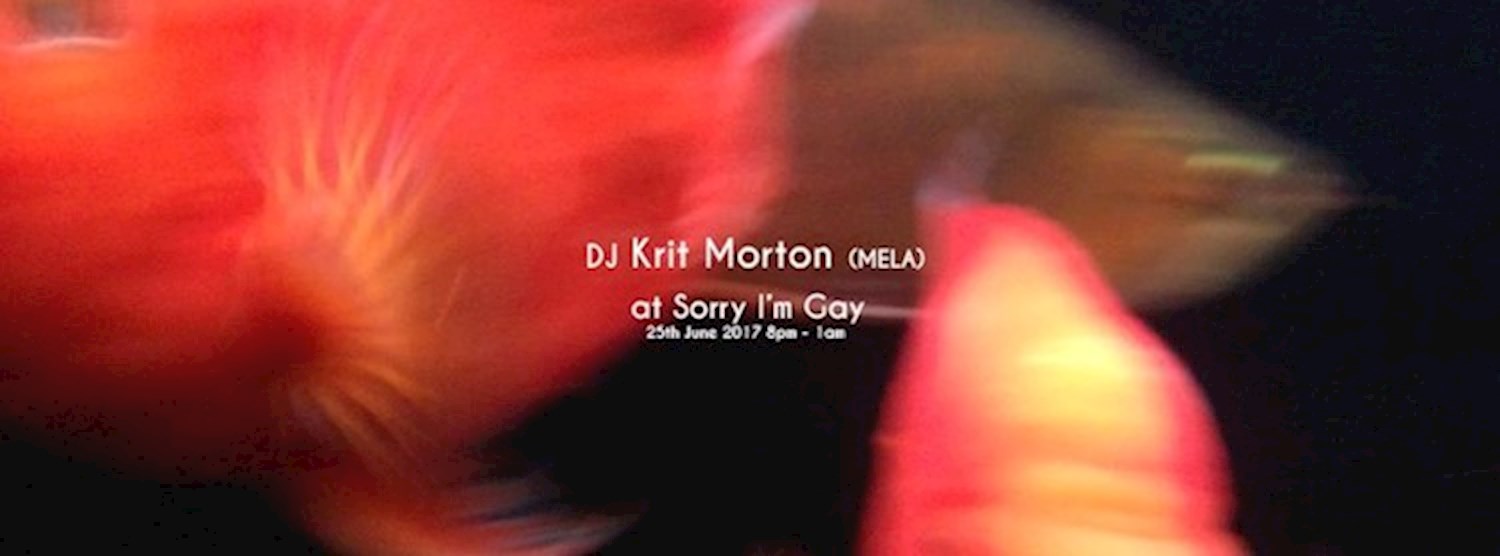 Dj Krit Morton at Sorry I'm Gay Zipevent