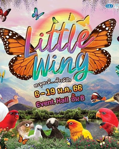 Little wing Zipevent